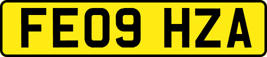 FE09HZA