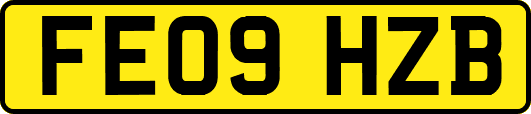 FE09HZB