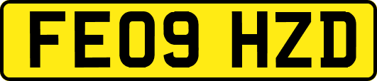 FE09HZD