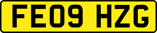 FE09HZG