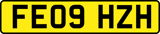 FE09HZH