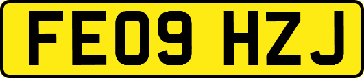 FE09HZJ