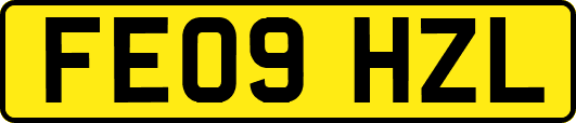 FE09HZL