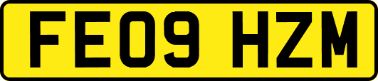 FE09HZM