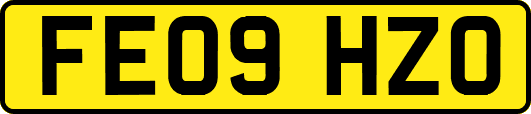 FE09HZO
