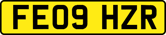 FE09HZR
