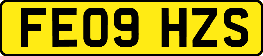 FE09HZS