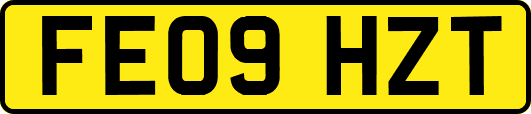 FE09HZT