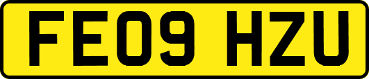 FE09HZU