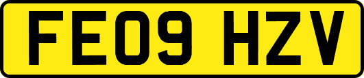 FE09HZV