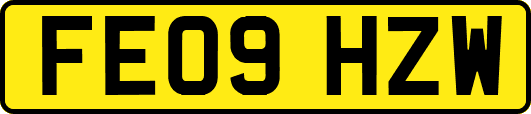 FE09HZW
