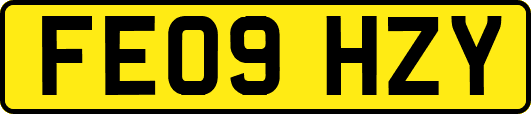 FE09HZY