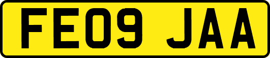 FE09JAA