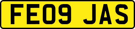 FE09JAS