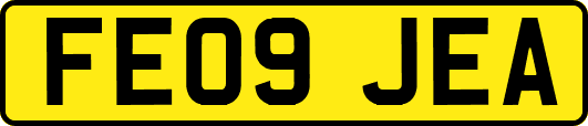 FE09JEA