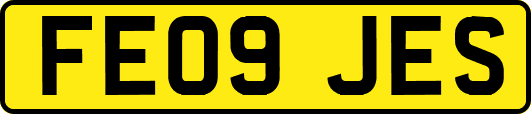 FE09JES