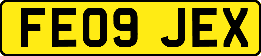 FE09JEX