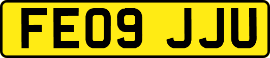 FE09JJU