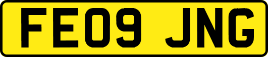 FE09JNG