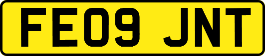 FE09JNT