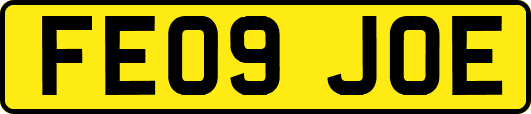 FE09JOE