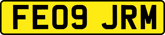 FE09JRM