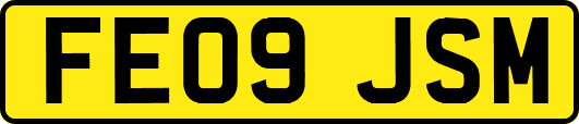 FE09JSM