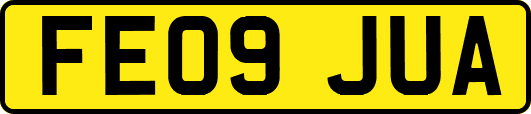 FE09JUA