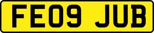 FE09JUB