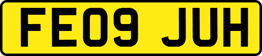 FE09JUH
