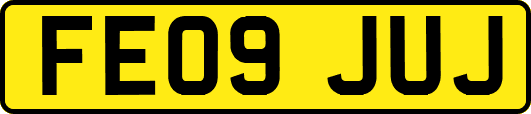 FE09JUJ