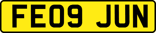 FE09JUN
