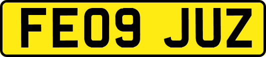 FE09JUZ