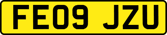 FE09JZU