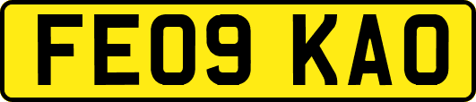 FE09KAO