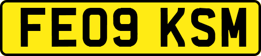 FE09KSM