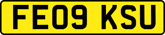 FE09KSU