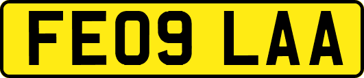 FE09LAA