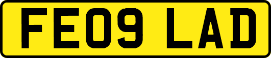FE09LAD