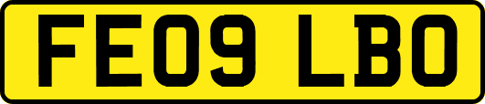 FE09LBO