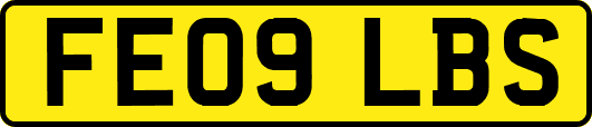 FE09LBS