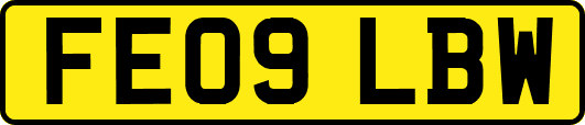 FE09LBW
