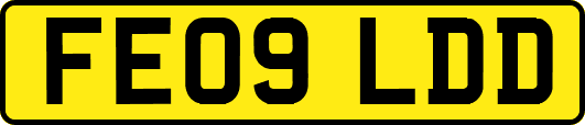 FE09LDD