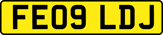 FE09LDJ