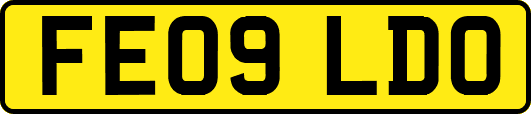 FE09LDO