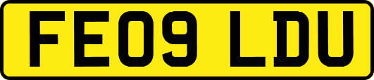 FE09LDU