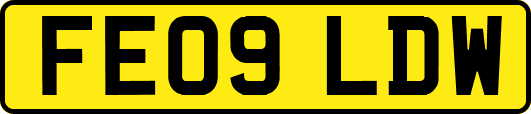 FE09LDW