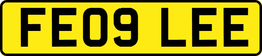 FE09LEE