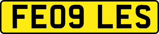 FE09LES