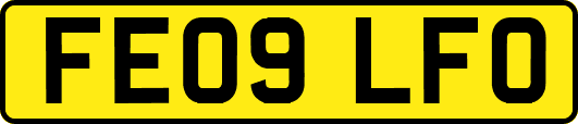 FE09LFO